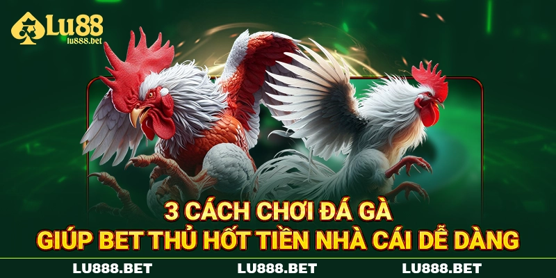 3 cách chơi đá gà giúp bet thủ hốt tiền nhà cái dễ dàng 3 cách chơi đá gà giúp bet thủ hốt tiền nhà cái dễ dàng