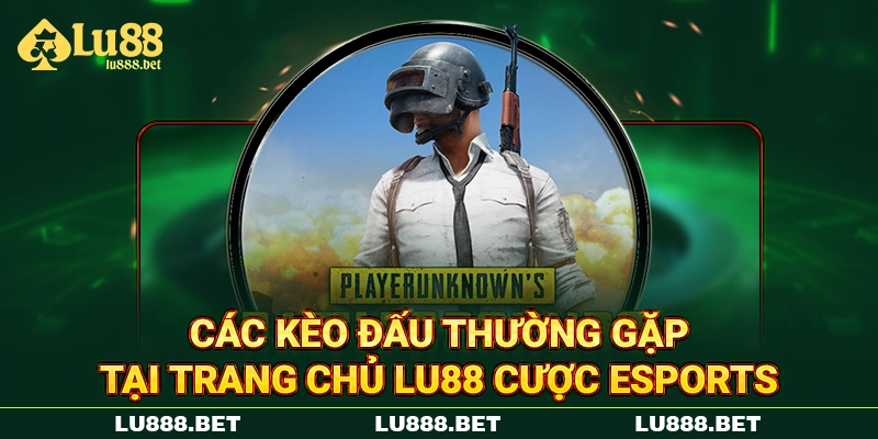 Các kèo đấu thường gặp tại trang chủ LU88 cược eSports Các kèo đấu thường gặp tại trang chủ LU88 cược eSports
