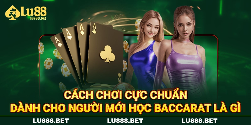 Cách chơi cực chuẩn dành cho người mới học Baccarat là gì Cách chơi cực chuẩn dành cho người mới học Baccarat là gì