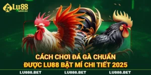Cách Chơi Đá Gà Chuẩn Được LU88 Bật Mí Chi Tiết 2025