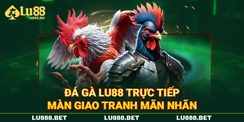 Đá gà LU88 trực tiếp màn giao tranh mãn nhãn Đá gà LU88 trực tiếp màn giao tranh mãn nhãn