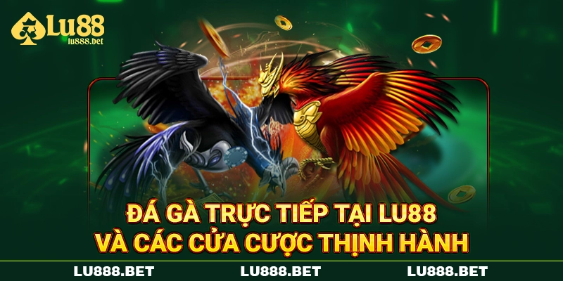 Đá Gà Trực Tiếp Tại LU88 Và Các Cửa Cược Thịnh Hành