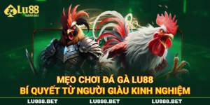 Mẹo Chơi Đá Gà LU88 Bí Quyết Từ Người Giàu Kinh Nghiệm