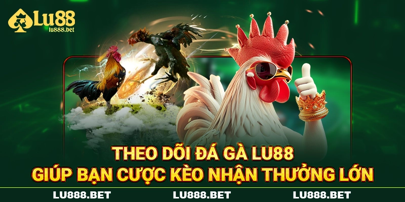 Theo dõi đá gà LU88 giúp bạn cược kèo nhận thưởng lớn Theo dõi đá gà LU88 giúp bạn cược kèo nhận thưởng lớn