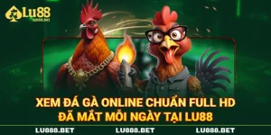 Xem Đá Gà Online Chuẩn Full HD Đã Mắt Mỗi Ngày Tại LU88