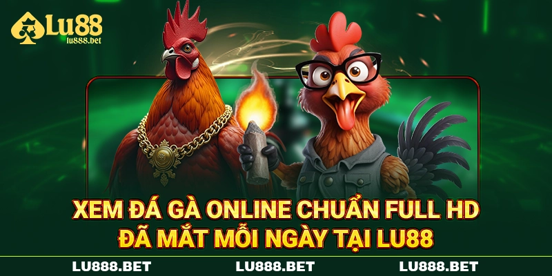 Xem Đá Gà Online Chuẩn Full HD Đã Mắt Mỗi Ngày Tại LU88