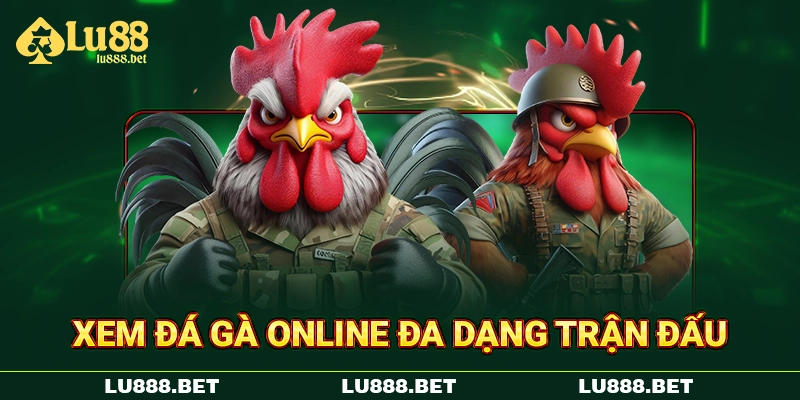 Xem đá gà online đa dạng trận đấu Xem đá gà online đa dạng trận đấu
